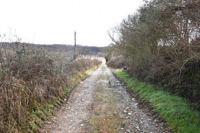 Azienda agricola in vendita a Gattico-veruno (NO)