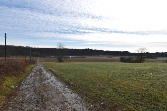 Azienda agricola in vendita a Gattico-veruno (NO)