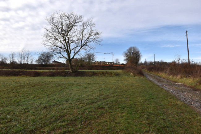 Azienda agricola in vendita a Gattico-veruno (NO)