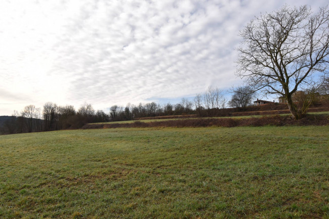 Azienda agricola in vendita a Gattico-veruno (NO)