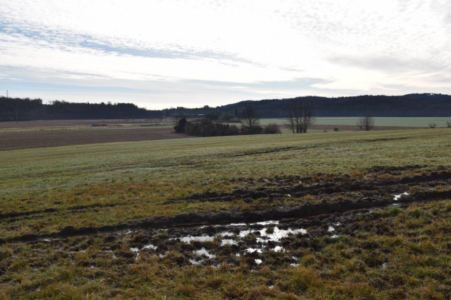 Azienda agricola in vendita a Gattico-veruno (NO)