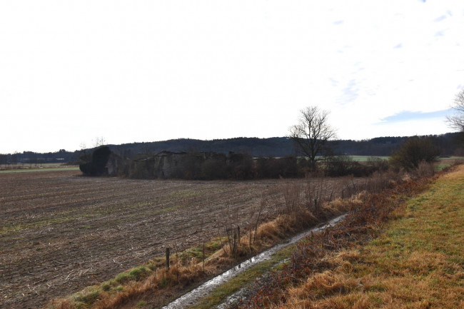 Azienda agricola in vendita a Gattico-veruno (NO)