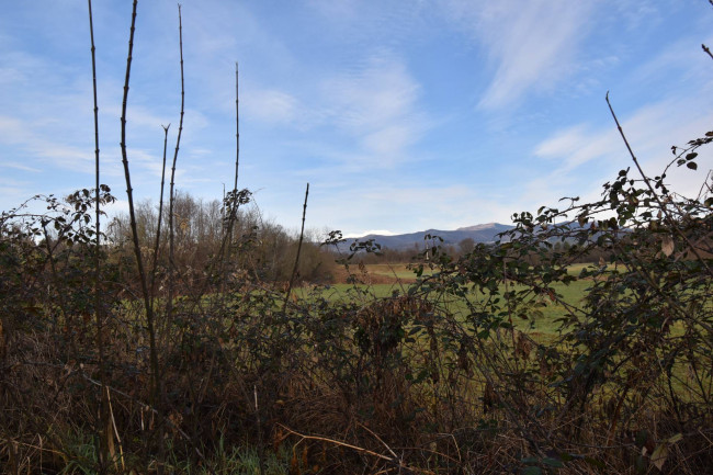 Azienda agricola in vendita a Gattico-veruno (NO)