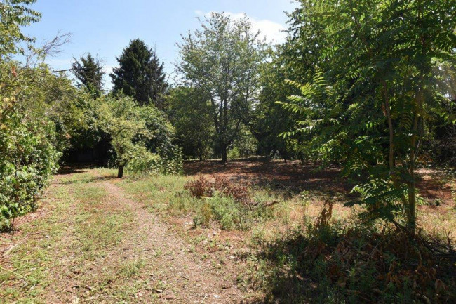Terreno Agricolo