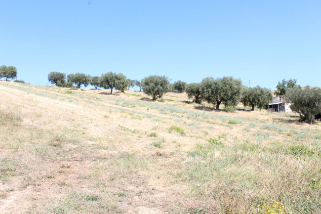 Terreno edificabile in vendita a Colonnella (TE)