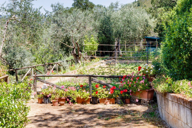 Villa in vendita a Porto Ercole, Monte Argentario (GR)