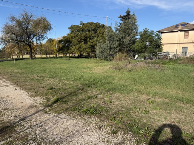 Terreno Agricolo in Vendita a Latina