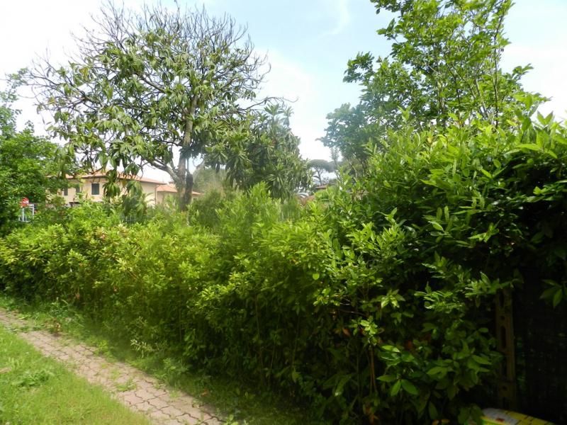 Villa PIETRASANTA vendita  Tonfano  Agenzia ForteVersilia Immobiliare