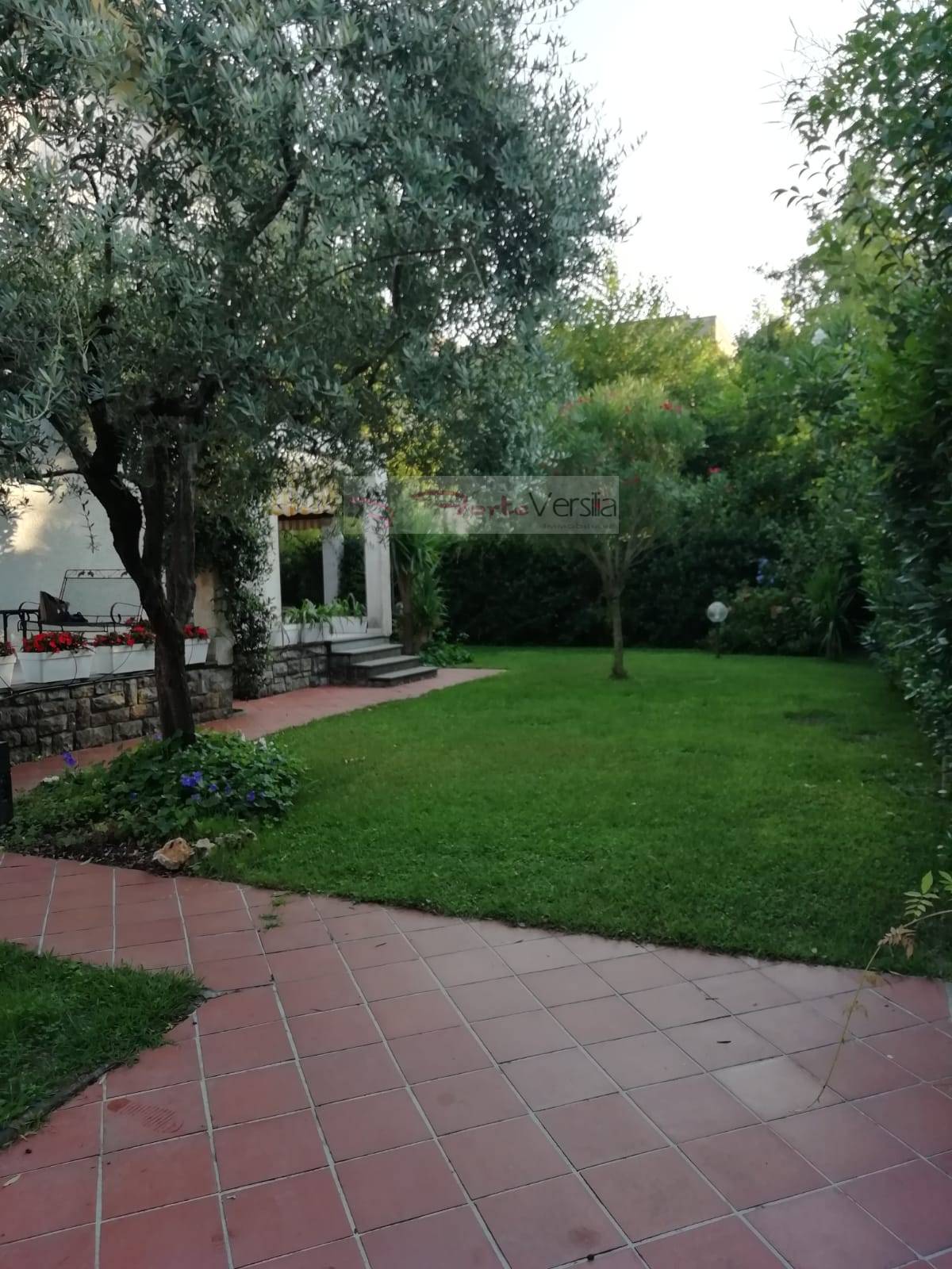 Villa FORTE DEI MARMI affitto  Caranna  Agenzia ForteVersilia Immobiliare