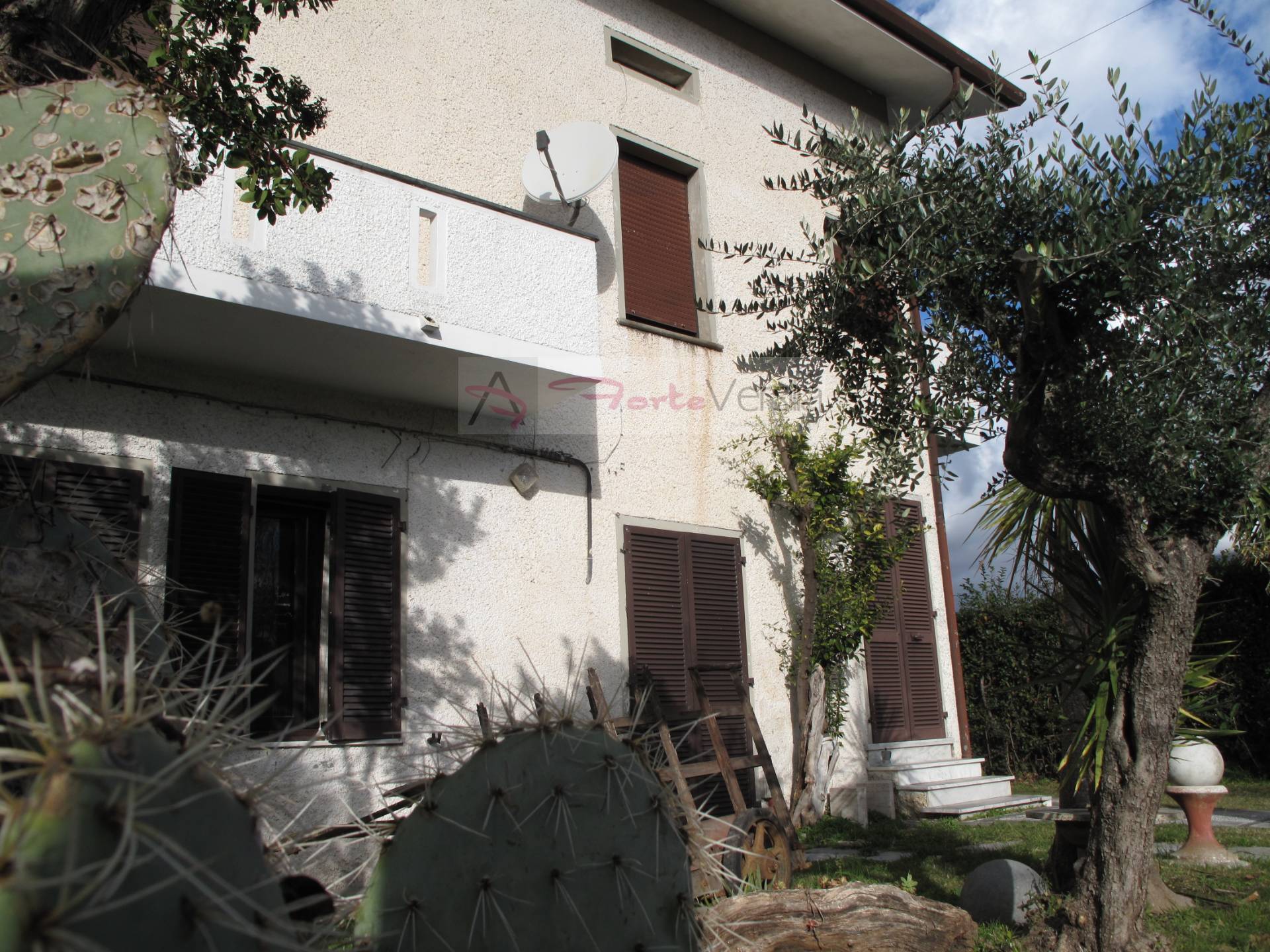 Villa PIETRASANTA vendita    Agenzia ForteVersilia Immobiliare