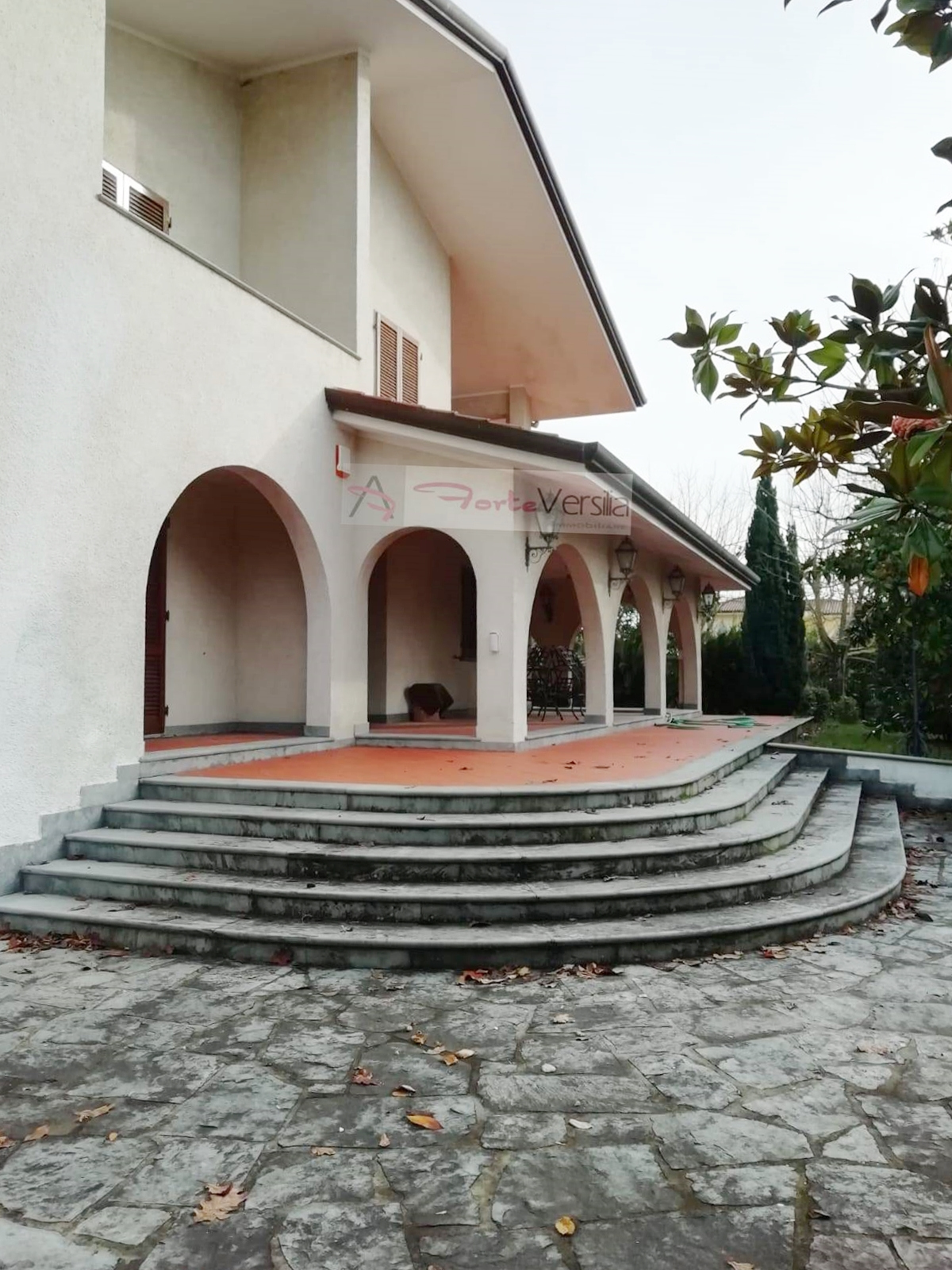 Villa FORTE DEI MARMI affitto    Agenzia ForteVersilia Immobiliare