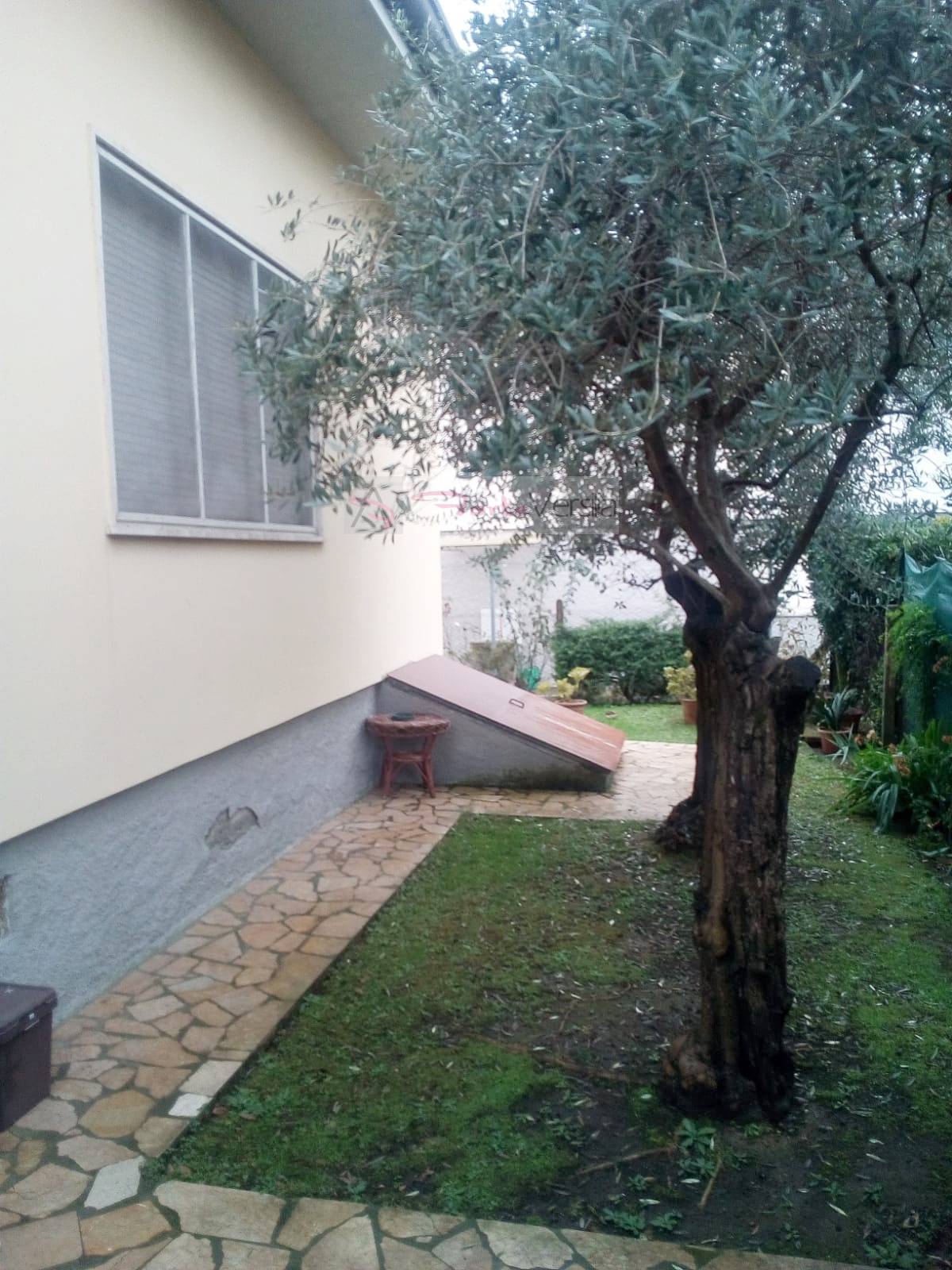 Villa Unifamiliare - Indipendente PIETRASANTA vendita    Agenzia ForteVersilia Immobiliare