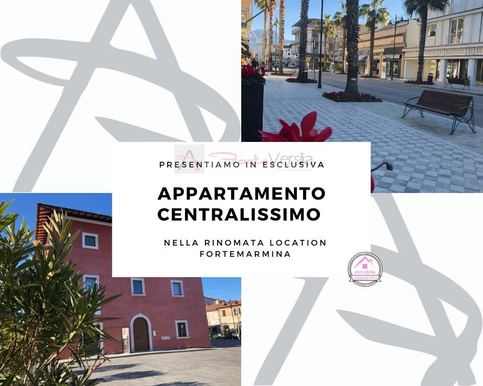  forte-dei-marmi vendita quart: centro agenzia-forteversilia-immobiliare