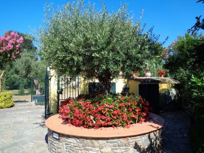 villa indipendente in vendita a Montignoso