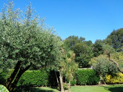 villa indipendente in vendita a Montignoso