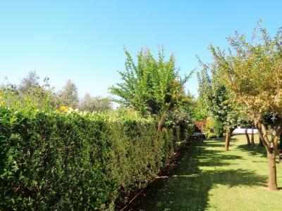 villa indipendente in vendita a Montignoso