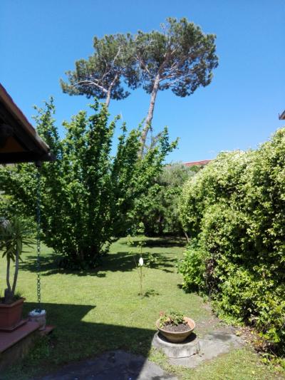 Villa in vendita a Forte dei Marmi