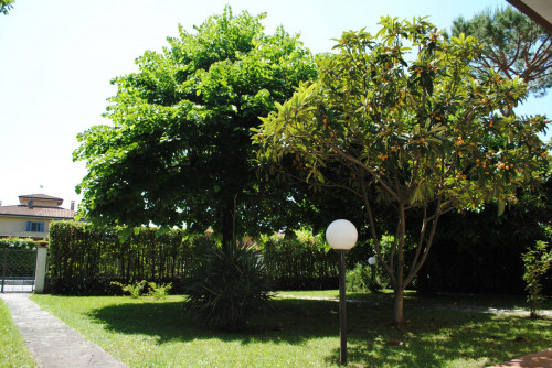 Villa in vendita a Montignoso