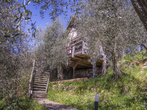 casale in vendita a Camaiore