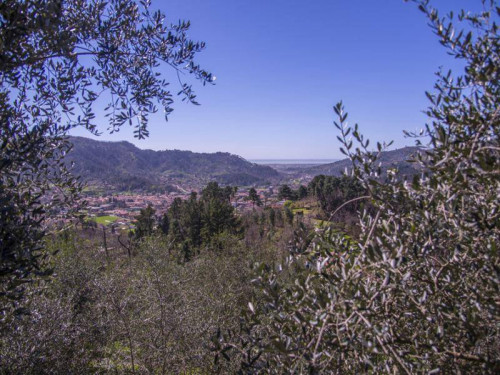 casale in vendita a Camaiore