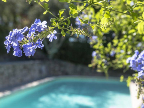 casale in vendita a Camaiore