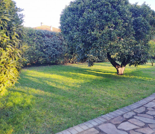 villa indipendente in vendita a Seravezza