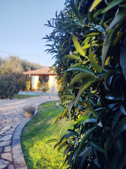villa indipendente in vendita a Seravezza