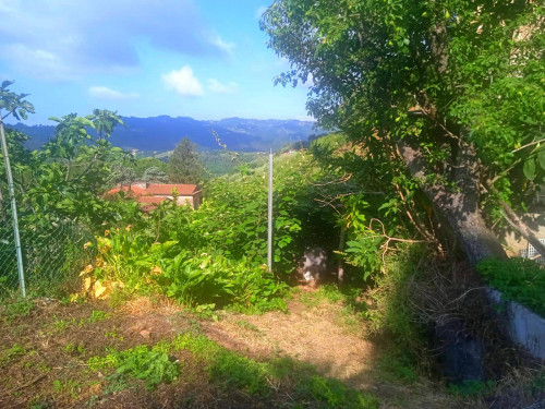 casale in vendita a Camaiore