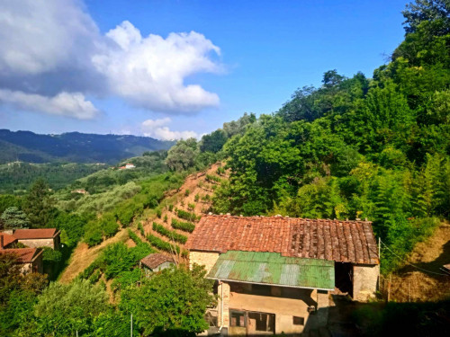 casale in vendita a Camaiore