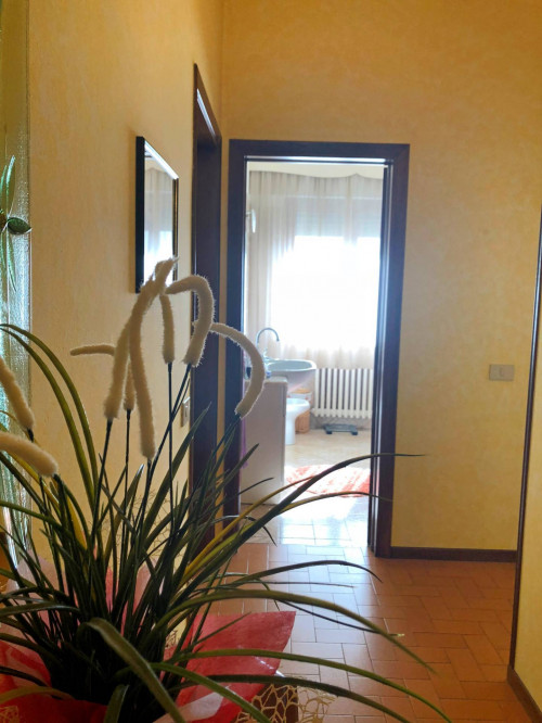 villa bifamiliare in vendita a Forte dei Marmi