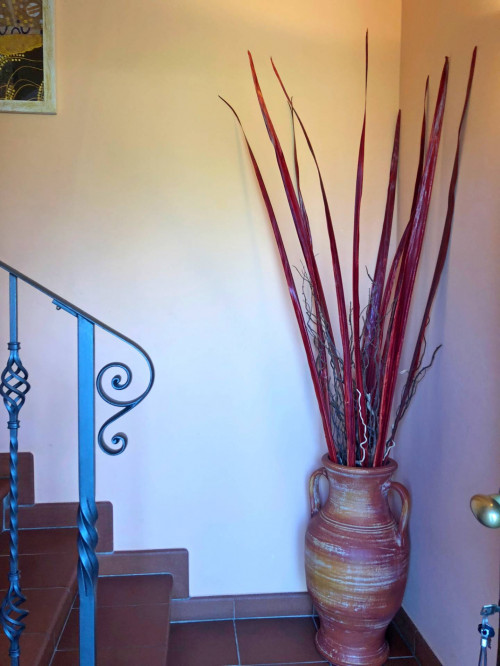 villa bifamiliare in vendita a Forte dei Marmi