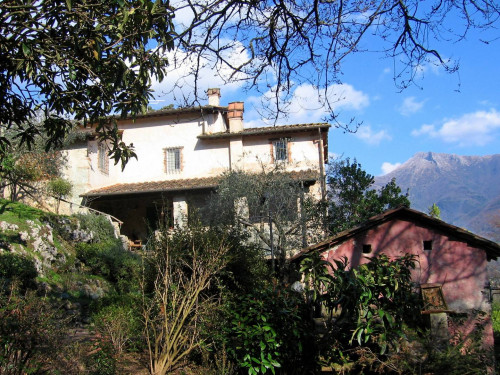 villa d'epoca in vendita a Camaiore