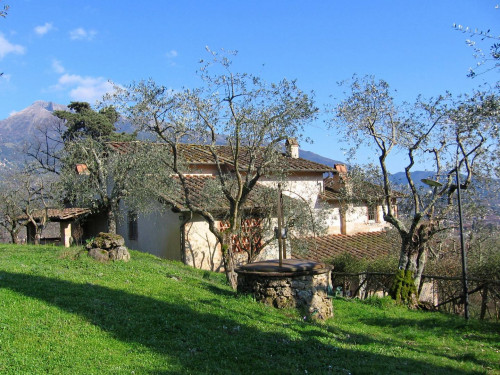 villa d'epoca in vendita a Camaiore
