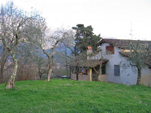 villa d'epoca in vendita a Camaiore
