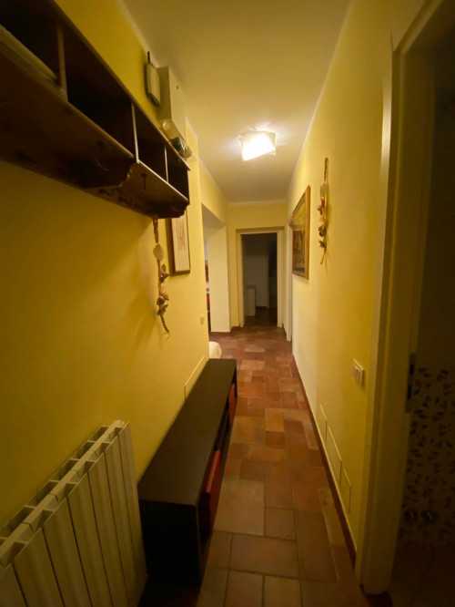 appartamento in affitto a Pietrasanta