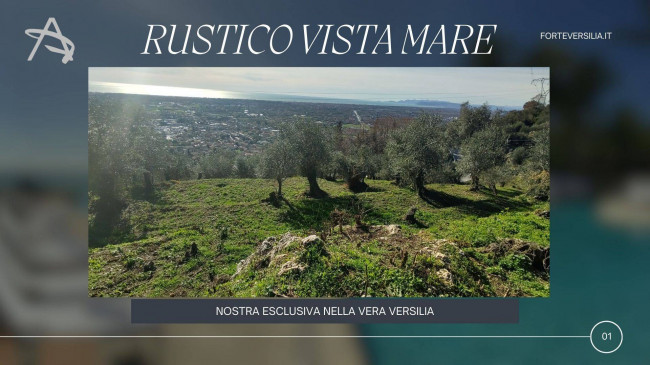 Rustico in vendita a Pietrasanta