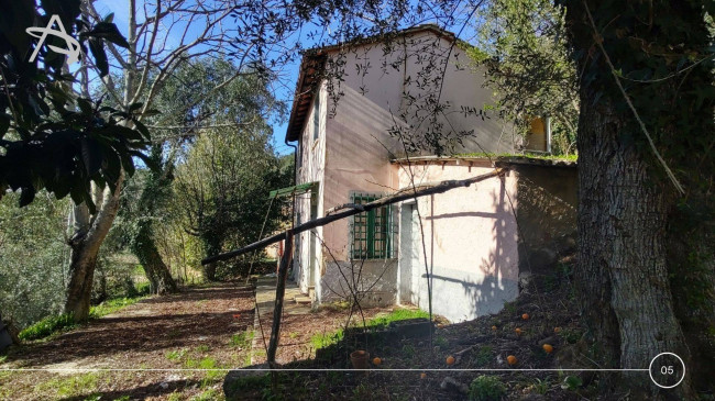 Rustico in vendita a Pietrasanta