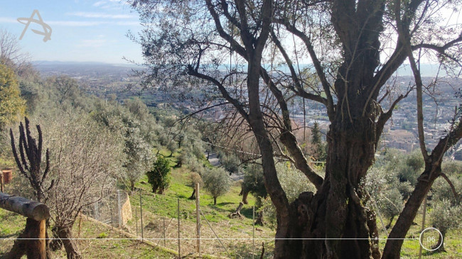 Rustico in vendita a Pietrasanta