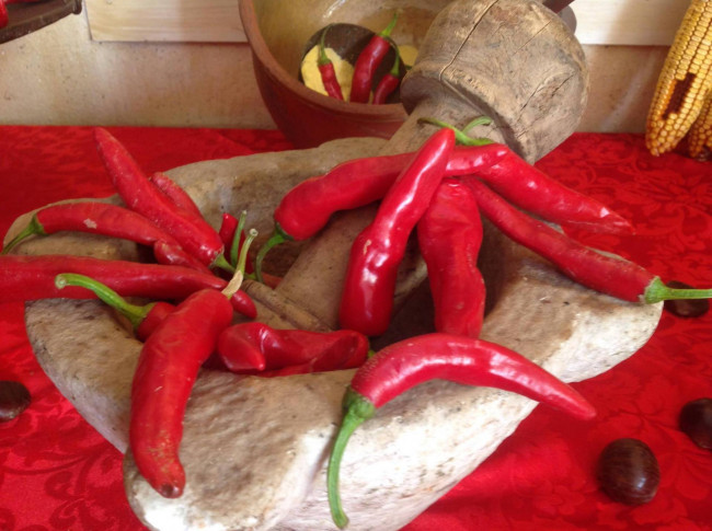 hotel in vendita a Camaiore