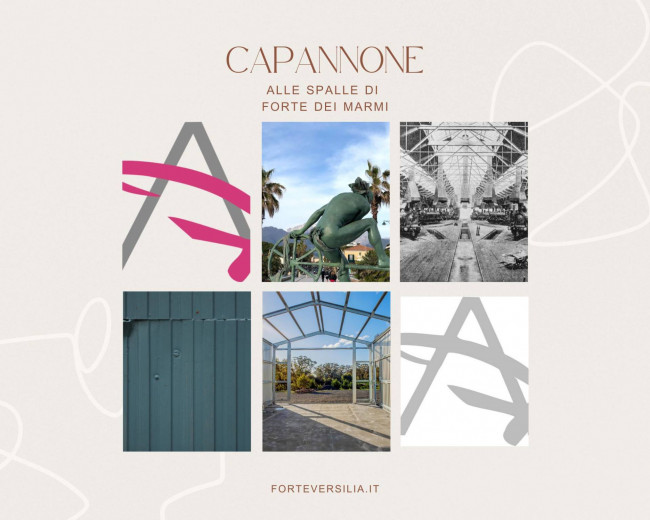 Capannone in vendita a Seravezza