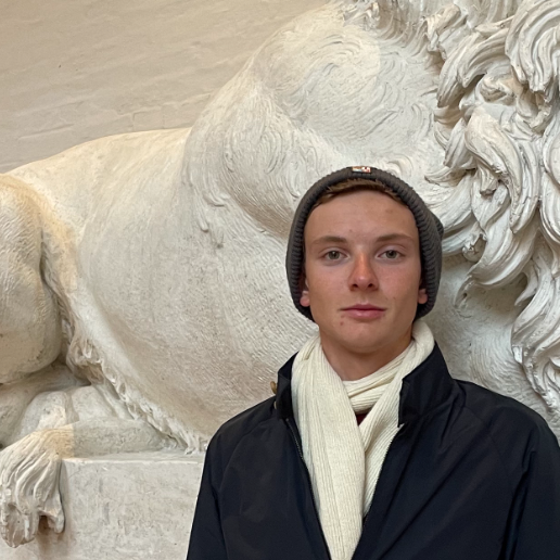 Lari Michele - Collaboratore