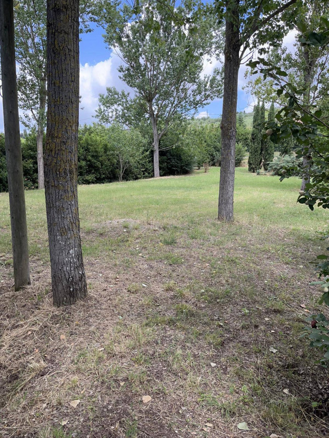 Terreno Agricolo in vendita a Vinci