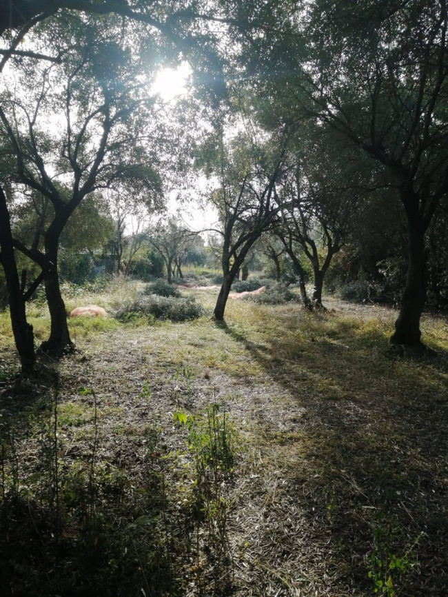 Villa in vendita a Massa