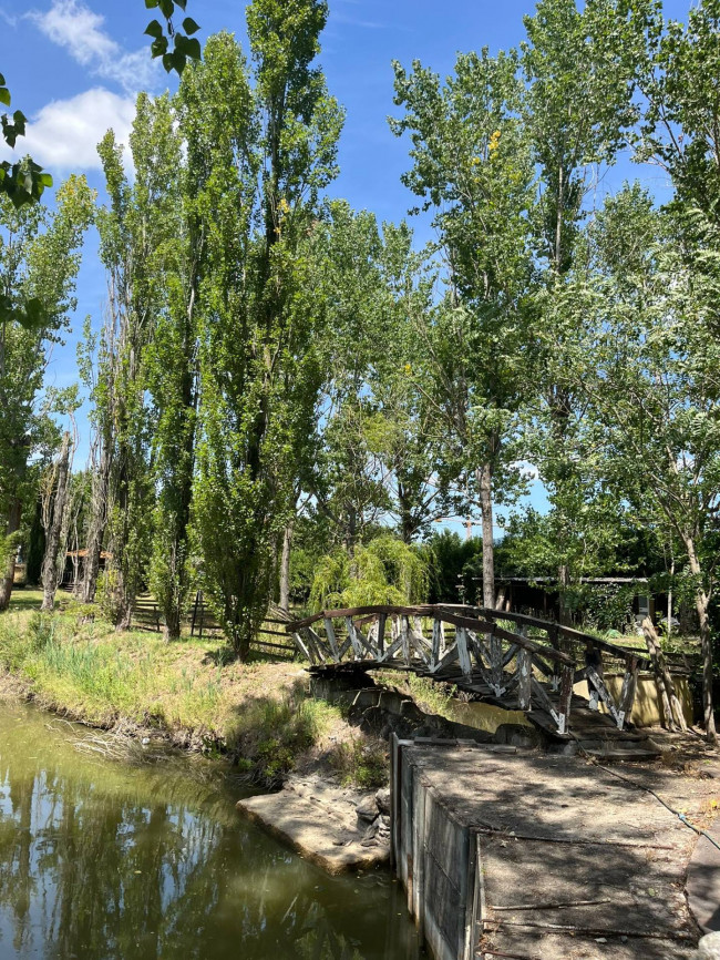 Terreno Agricolo in vendita a Vinci