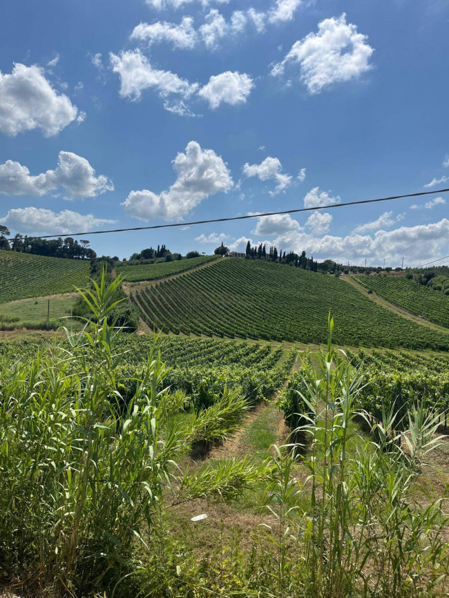 Terreno Agricolo in vendita a Vinci