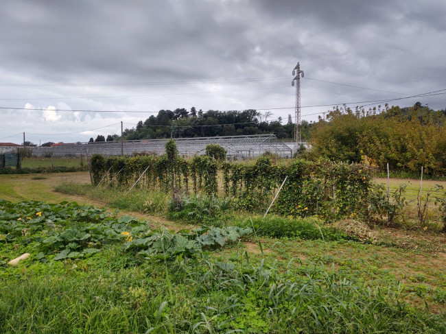 Rustico in vendita a Capezzano Pianore, Camaiore (LU)