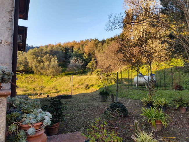 Rustico in vendita a Massarosa