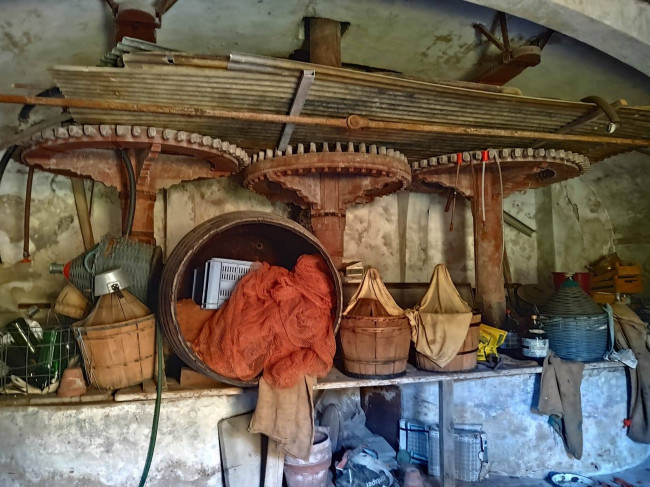 Rustico in vendita a Massarosa