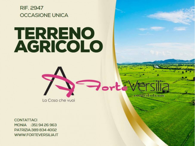 Terreno Agricolo in vendita a Montignoso