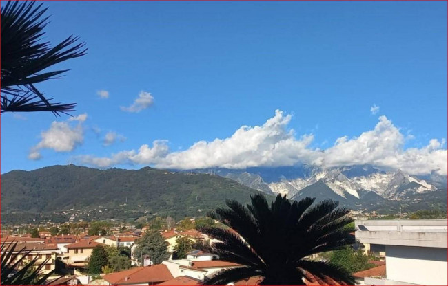 appartamento in vendita a Carrara
